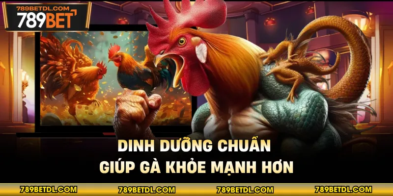 Dinh dưỡng chuẩn giúp gà khỏe mạnh hơn