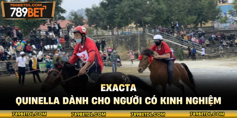 Exacta - Quinella dành cho người có kinh nghiệm