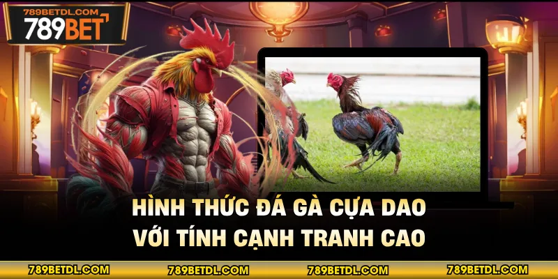 Hình thức đá gà cựa dao với tính cạnh tranh cao