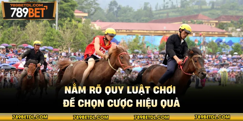 Nắm rõ quy luật chơi để chọn cược hiệu quả