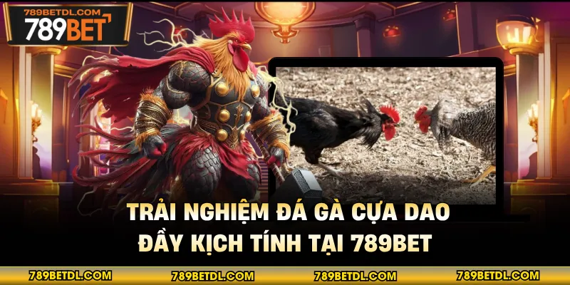 Trải Nghiệm Đá Gà Cựa Dao Đầy Kịch Tính Tại 789BET